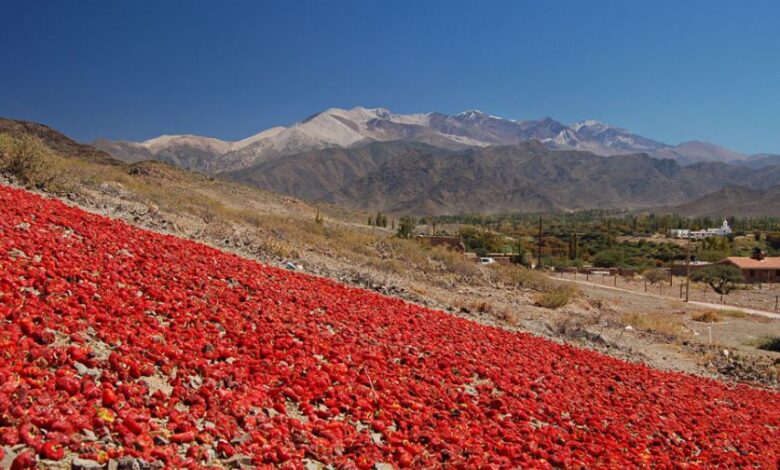 Pimentón del Valle Calchaquí.