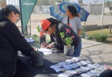 Las entregas se realizarán a partir de las 9 de la mañana en los siguientes puntos: CIC La Lonja, Nido San Rafael, San Lorenzo Chico, Atocha Pueblo y La Ciénega. Foto: Municipalidad de San Lorenzo