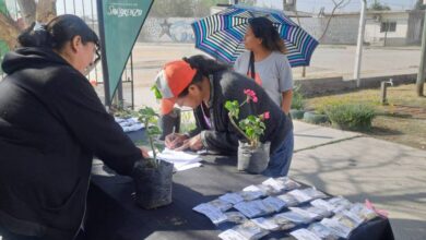 Las entregas se realizarán a partir de las 9 de la mañana en los siguientes puntos: CIC La Lonja, Nido San Rafael, San Lorenzo Chico, Atocha Pueblo y La Ciénega. Foto: Municipalidad de San Lorenzo