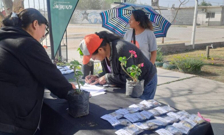 Las entregas se realizarán a partir de las 9 de la mañana en los siguientes puntos: CIC La Lonja, Nido San Rafael, San Lorenzo Chico, Atocha Pueblo y La Ciénega. Foto: Municipalidad de San Lorenzo