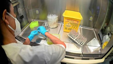 La ANMAT inhibió las actividades productivas de la firma HLB PHARMA GROUP. También las actividades productivas de la firma Laboratorios Ramallo (EFE)
