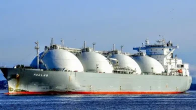 RIGI: Aprobaron una inversión de USD 6.878 millones en planta flotante de GNL