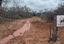 El Pozo Lomas de Olmedo x-10, Área Puesto Guardián, pertenece a la Empresa Operadora President Petroleum S.A Foto: Gobierno de Salta