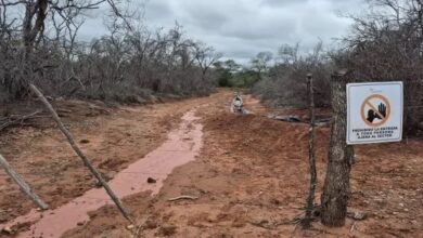 El Pozo Lomas de Olmedo x-10, Área Puesto Guardián, pertenece a la Empresa Operadora President Petroleum S.A Foto: Gobierno de Salta