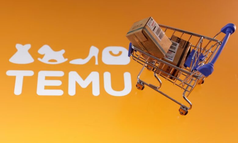 Temu genera preocupación a los comerciantes en Uruguay (REUTERS/Dado Ruvic/Illustration/File Photo)