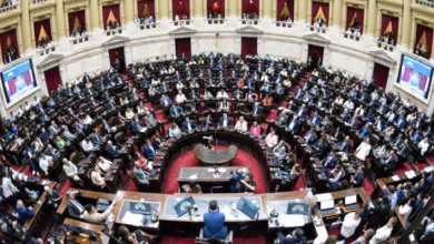 Diputados: La oposición vuelve a la carga con proyectos que presionan al Gobierno.