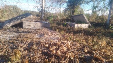 Plantas cloacales en La Candelaria. Foto: RR SS