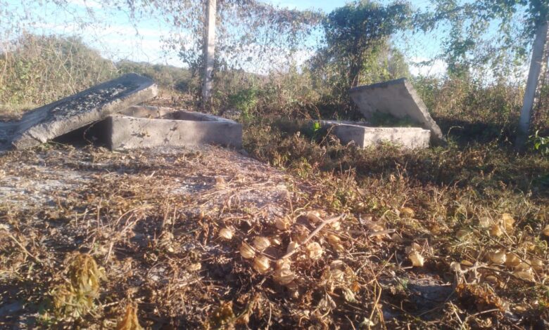 Plantas cloacales en La Candelaria. Foto: RR SS