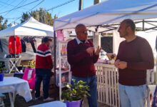 La nueva feria de Cerrillos.