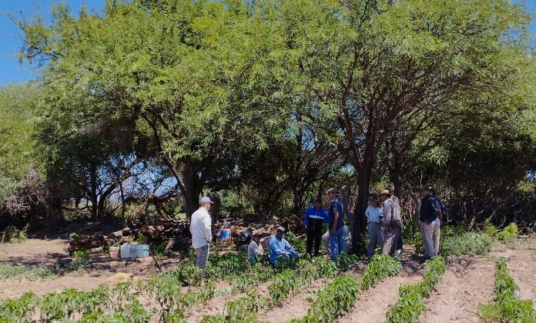 Técnicos del INTA en San Carlos.