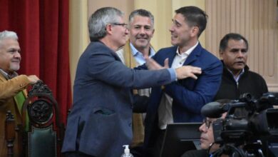 La Ley obtuvo la media sanción.
