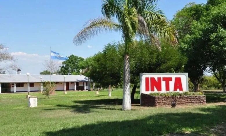 INTA Salta.