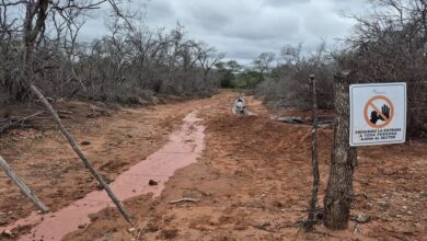 La zona del derrame.