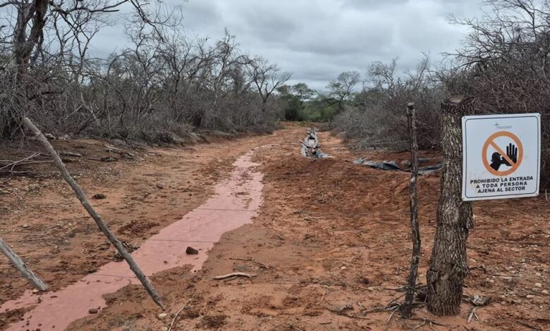 La zona del derrame.