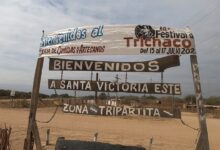 Festival del Trichaco.