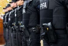 La organización estará compuesta por cinco fuerzas federales (Ministerio de Seguridad). Fuente: Infobae