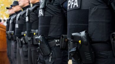 La organización estará compuesta por cinco fuerzas federales (Ministerio de Seguridad). Fuente: Infobae