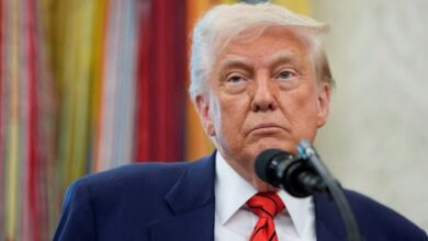 Trump anunció un acuerdo comercial con China, que suministrará tierras raras (REUTERS/ARCHIVO)