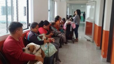 San Lorenzo activa operativos de castración y vacunación gratuita en julio