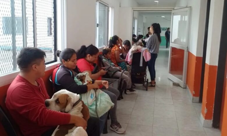San Lorenzo activa operativos de castración y vacunación gratuita en julio