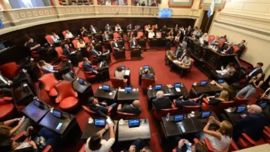 Senadores presentaron propuestas legislativas para garantizar mayores recursos a las provincias