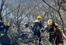 Un operativo conjunto entre Protección Ciudadana, Bomberos, Policía y Defensa Civil logró controlar rápidamente el incendio registrado en la ladera este del cerro San Bernardo. Foto: Municipalidad de Salta
