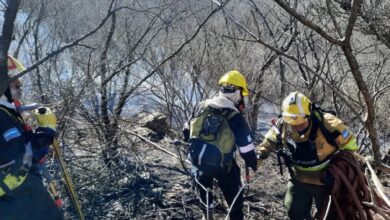 Un operativo conjunto entre Protección Ciudadana, Bomberos, Policía y Defensa Civil logró controlar rápidamente el incendio registrado en la ladera este del cerro San Bernardo. Foto: Municipalidad de Salta