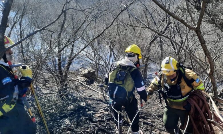 Un operativo conjunto entre Protección Ciudadana, Bomberos, Policía y Defensa Civil logró controlar rápidamente el incendio registrado en la ladera este del cerro San Bernardo. Foto: Municipalidad de Salta