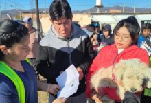 Más de 400 personas participaron de la jornada organizada por la Secretaría de Desarrollo Social. Foto: Municipalidad de Salta