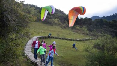 San Lorenzo lanza su agenda de invierno con más de 20 actividades para toda la familia. Foto: Municipalidad de San Lorenzo