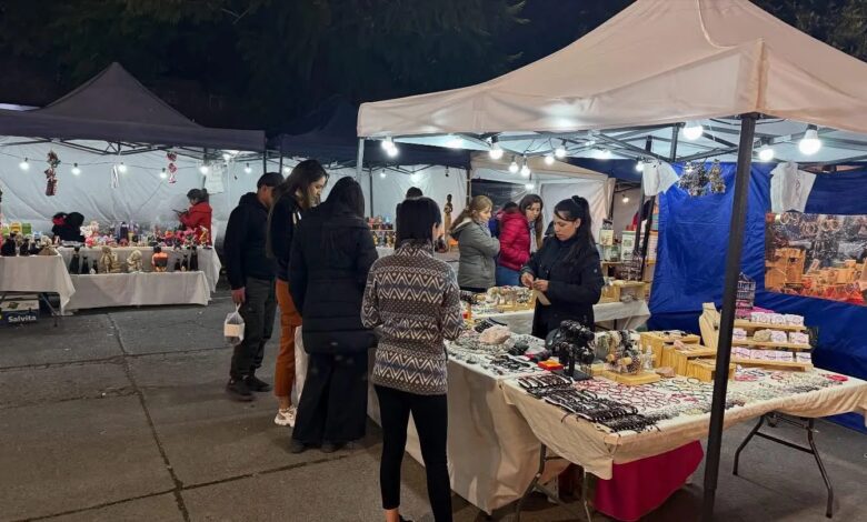 La Municipalidad de Salta realiza hoy la feria holística en plaza España