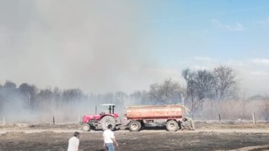 Incendios en Cerrillos.