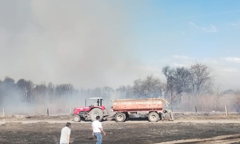 Incendios en Cerrillos.