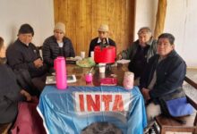 La Municipalidad de Campo Quijano trabaja junto a instituciones y técnicos para promover la producción de papa andina. Foto: Municipalidad de Campo Quijano