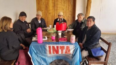 La Municipalidad de Campo Quijano trabaja junto a instituciones y técnicos para promover la producción de papa andina. Foto: Municipalidad de Campo Quijano