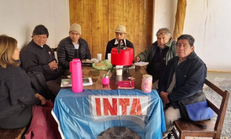 La Municipalidad de Campo Quijano trabaja junto a instituciones y técnicos para promover la producción de papa andina. Foto: Municipalidad de Campo Quijano