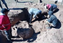 Especialistas en arqueología iniciaron tareas de rescate en la calle Manuel Chamorro, frente al Colegio Secundario. Foto: Municipalidad de El Tala