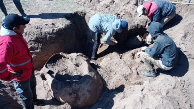 Especialistas en arqueología iniciaron tareas de rescate en la calle Manuel Chamorro, frente al Colegio Secundario. Foto: Municipalidad de El Tala