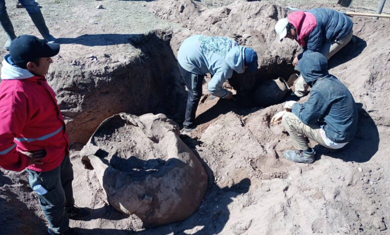 Especialistas en arqueología iniciaron tareas de rescate en la calle Manuel Chamorro, frente al Colegio Secundario. Foto: Municipalidad de El Tala