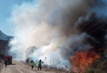 El incendio provocado en Molinos.