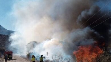 El incendio provocado en Molinos.