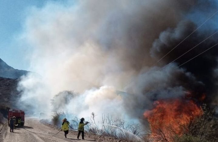 El incendio provocado en Molinos.