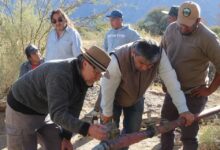 Se realizaron tareas de mantenimiento, se evaluó la capacidad de extracción y se ajustaron aspectos vinculados al sistema de bombeo. Foto: RR SS