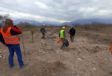 Borax Argentina desarrolló un nuevo operativo de control en las zonas donde realiza sus actividades. Foto: RR SS