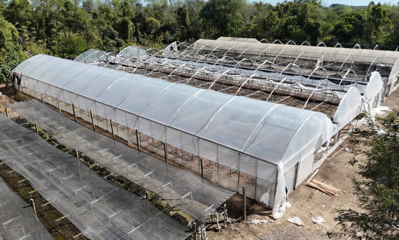 Vivero Municipal de Orán.