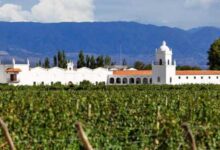 Bodega del Grupo Peñaflor.