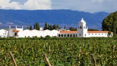 Bodega del Grupo Peñaflor.