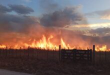 Incendios en Campo Quijano.