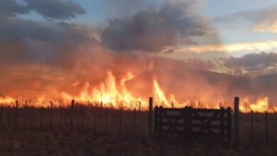 Incendios en Campo Quijano.