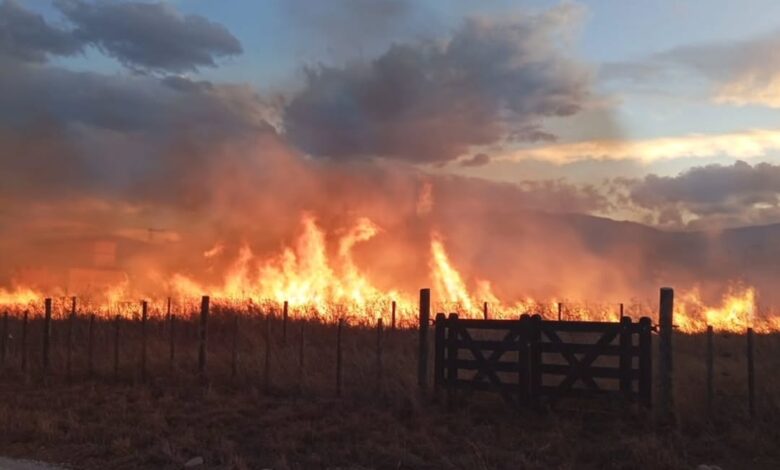 Incendios en Campo Quijano.